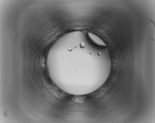 X0000099510368200806051153