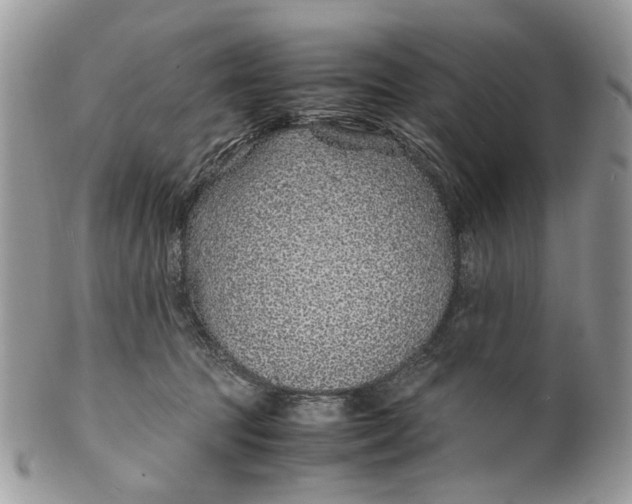 X0000099510369200806051153