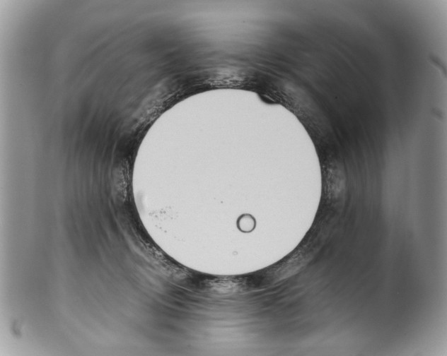 X0000099510370200806051153