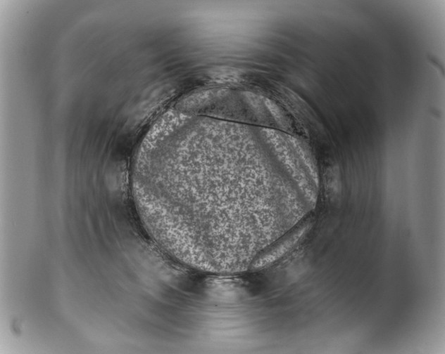 X0000099510372200806051153