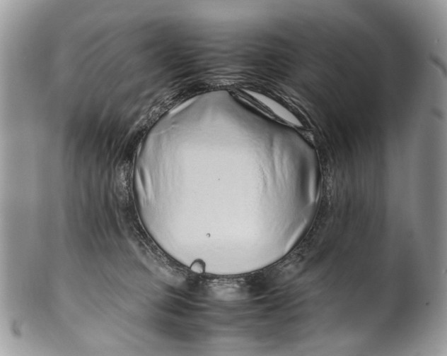 X0000099510373200806051153