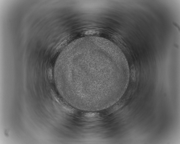 X0000099510375200806051153