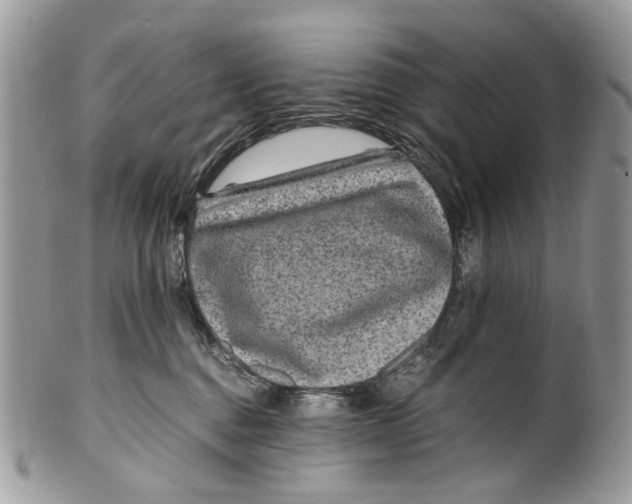 X0000099510376200806051153