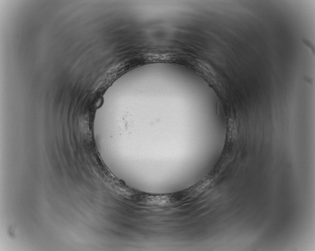 X0000099510377200806051153