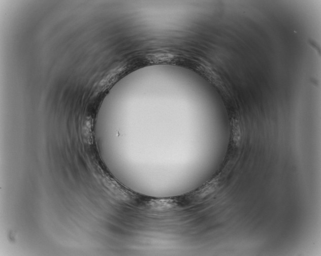 X0000099510378200806051153