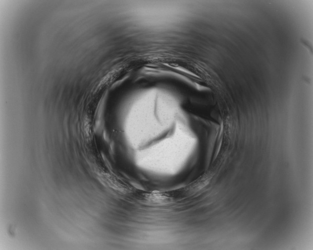 X0000099510380200806051153