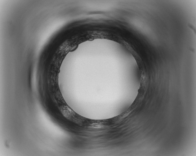 X0000099510381200806051153