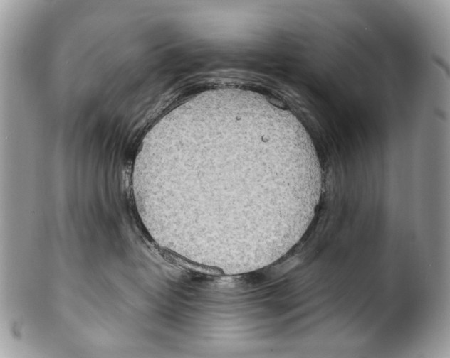 X0000099510382200806051153