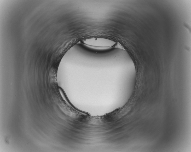 X0000099510384200806051153