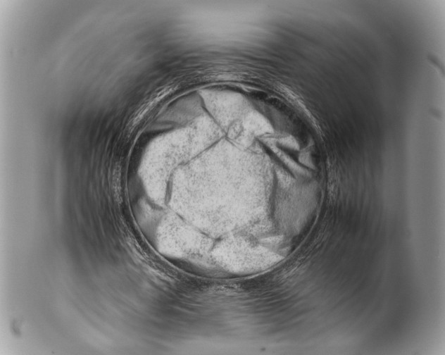 X0000099510386200806051152