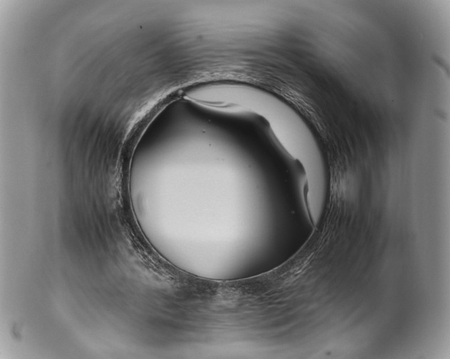 X0000099510388200806051152