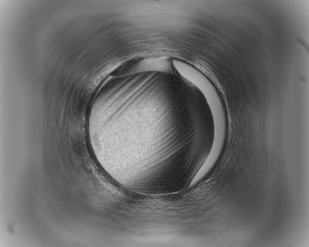 X0000099510389200806051152