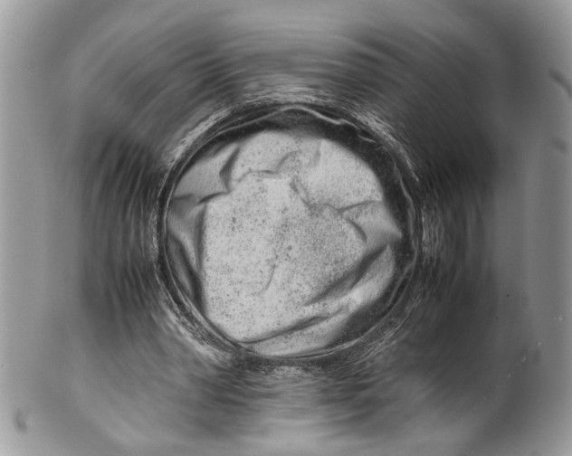 X0000099510390200806051152