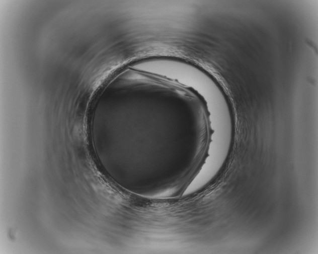 X0000099510391200806051152