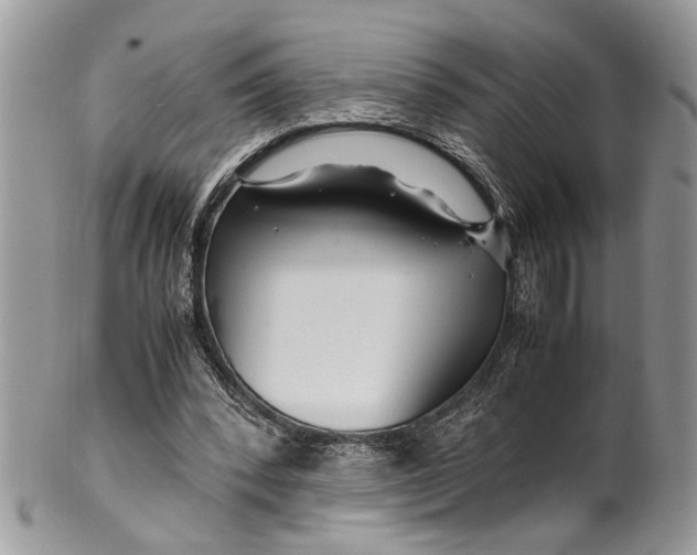 X0000099510392200806051152