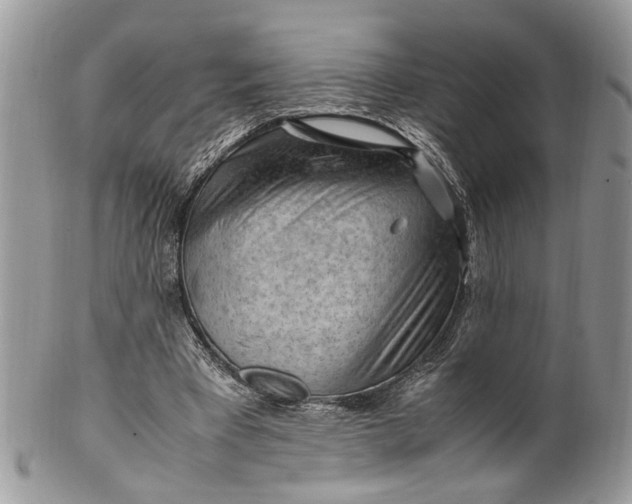 X0000099510393200806051152