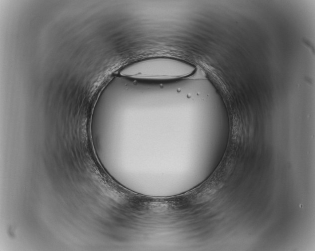 X0000099510394200806051152