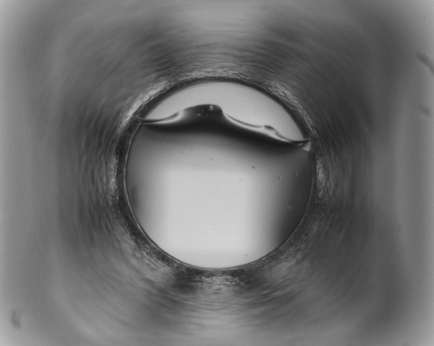 X0000099510396200806051152