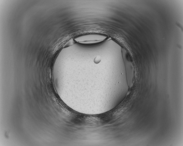 X0000099510397200806051152