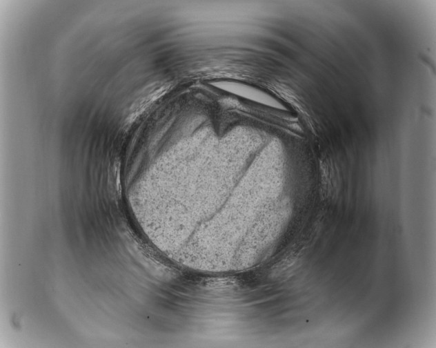 X0000099510398200806051152