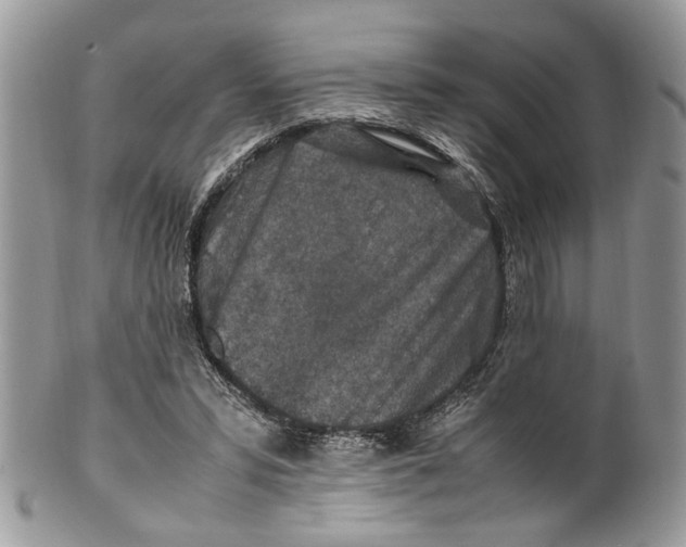 X0000099510399200806051152