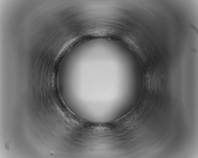 X0000099510400200806051152