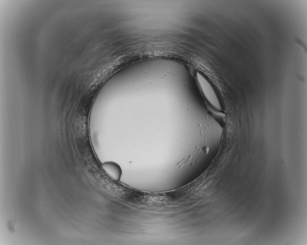 X0000099510401200806051152