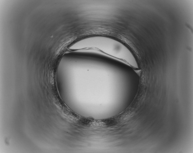 X0000099510403200806051152