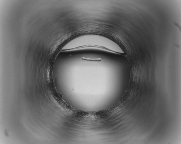 X0000099510404200806051152