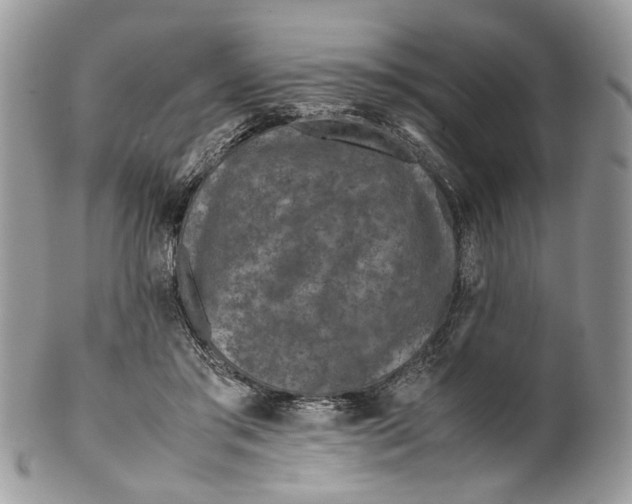 X0000099510405200806051152