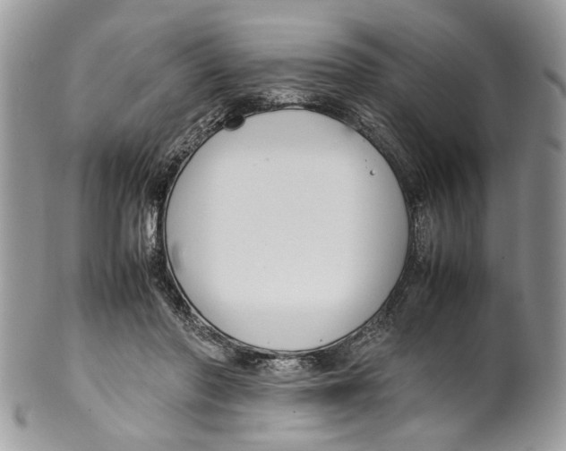 X0000099510406200806051152