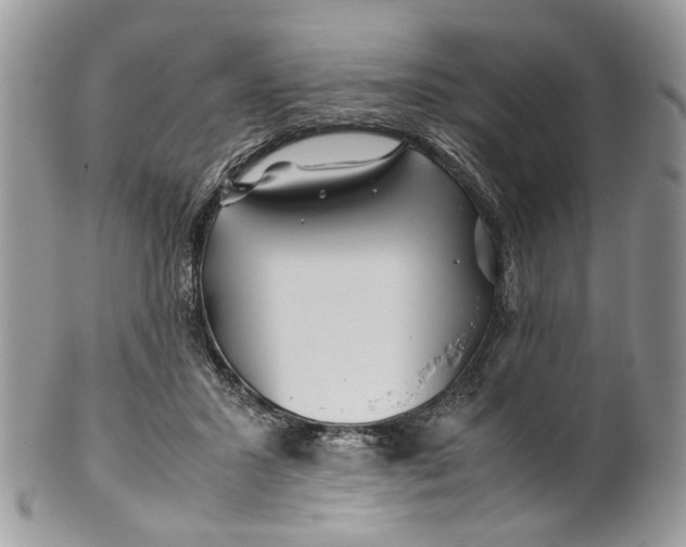 X0000099510407200806051152