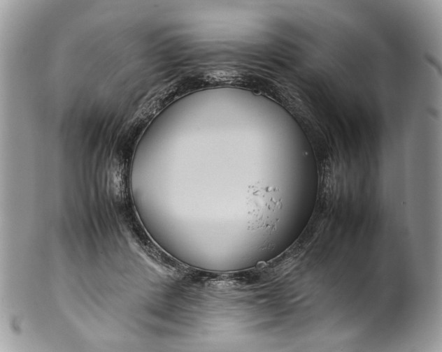 X0000099510408200806051152