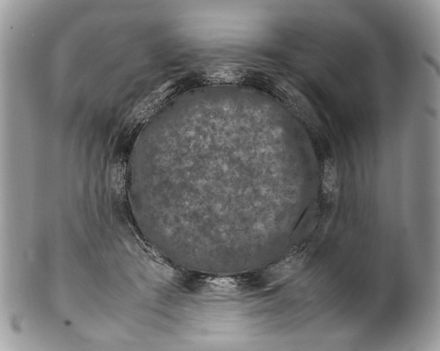 X0000099510409200806051152