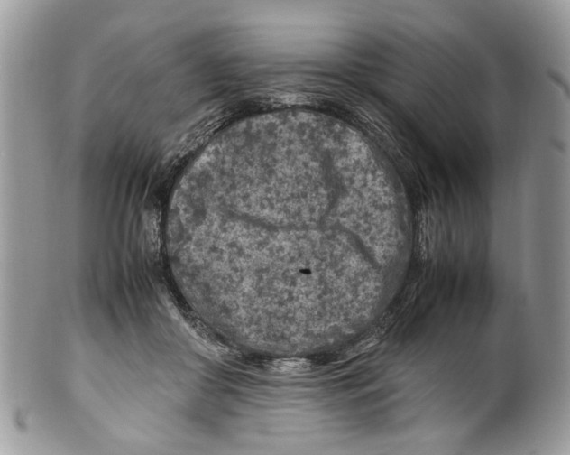 X0000099510410200806051152