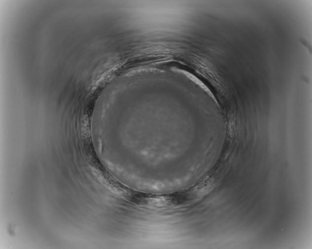 X0000099510411200806051152