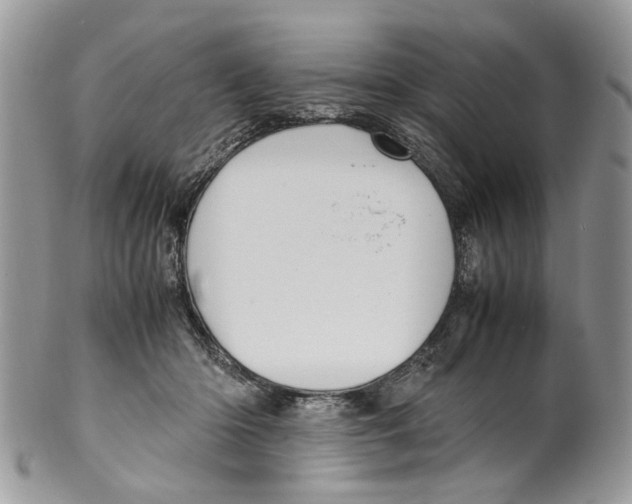 X0000099510414200806051152