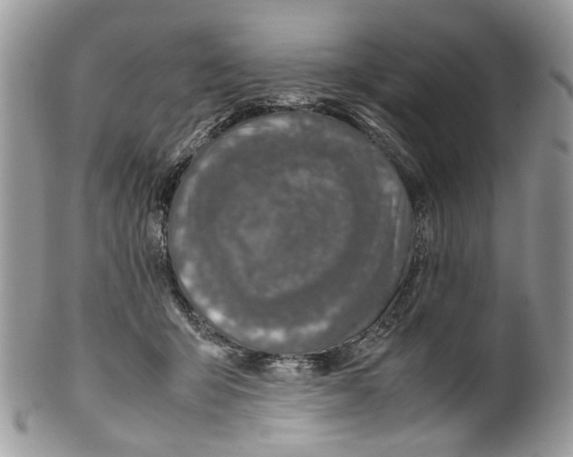 X0000099510415200806051152