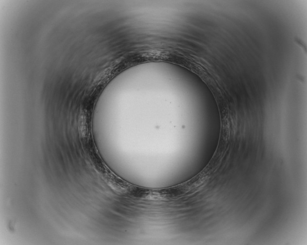 X0000099510416200806051152