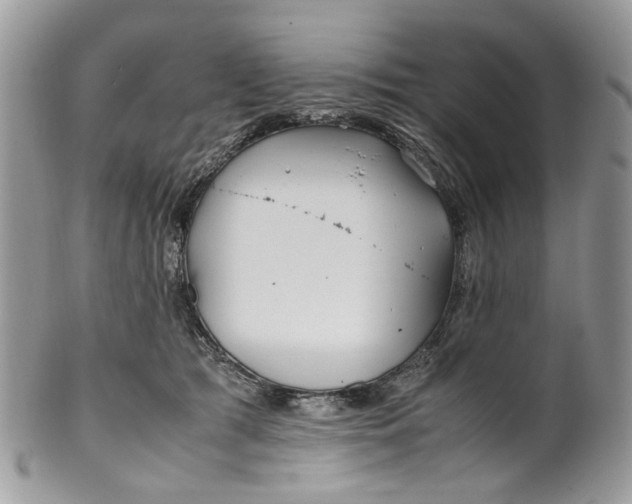 X0000099510417200806051152