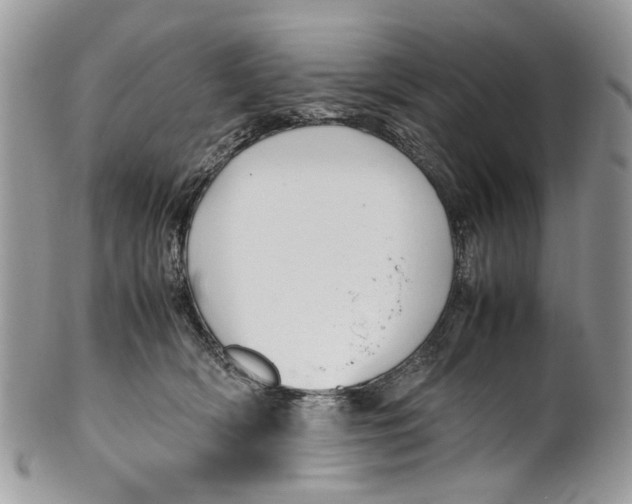 X0000099510418200806051152