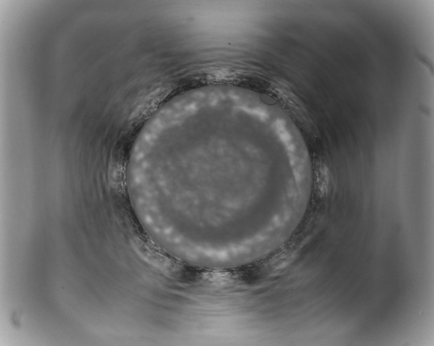 X0000099510419200806051152