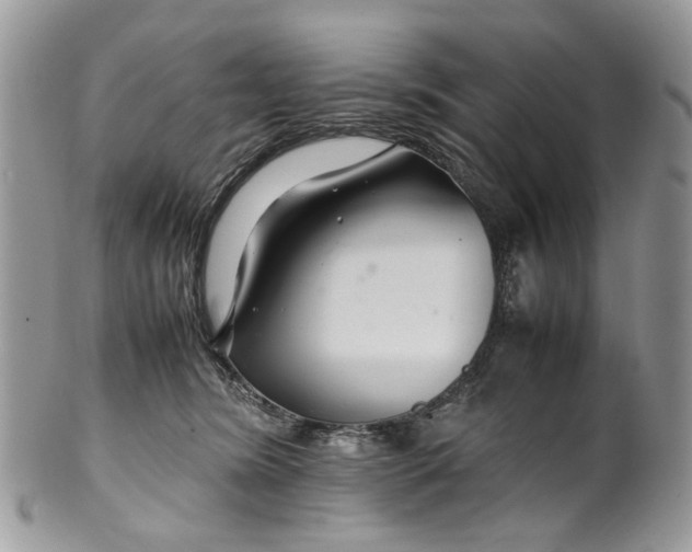 X0000099510420200806051152