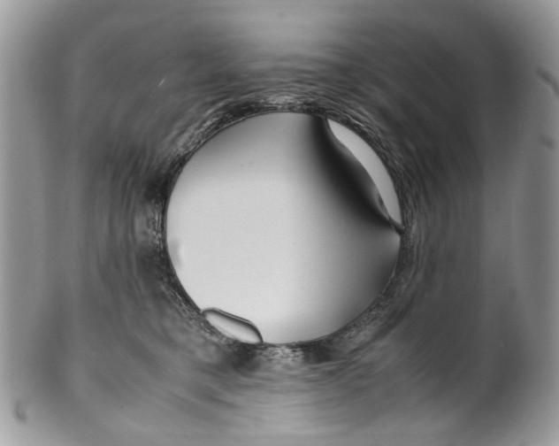 X0000099510421200806051152