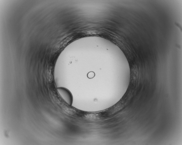 X0000099510422200806051152