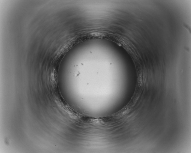 X0000099510424200806051152