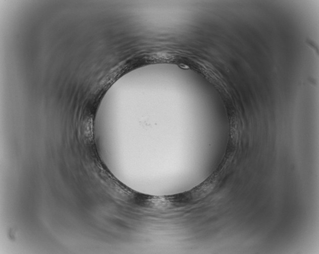 X0000099510425200806051152