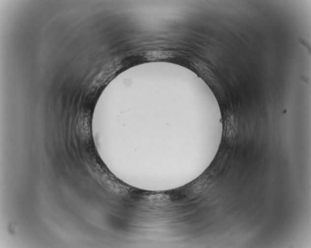 X0000099510426200806051151