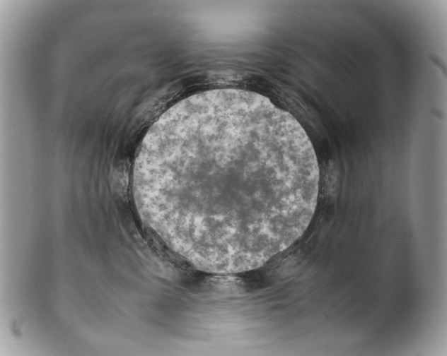 X0000099510427200806051151