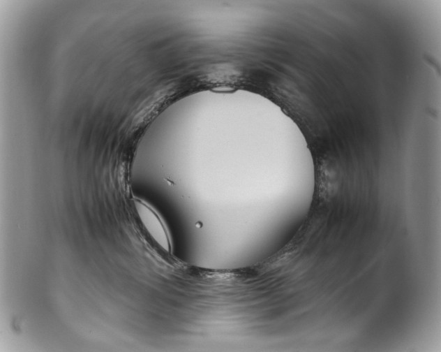 X0000099510428200806051151